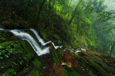 View of waterfall in forest