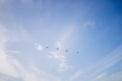 Low angle view of airplane flying against sky