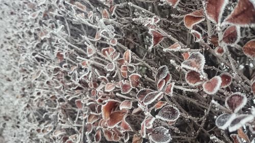 Full frame shot of patterned wall