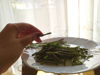 Close-up of hand holding food