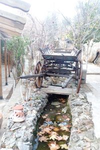 Abandoned cart against trees