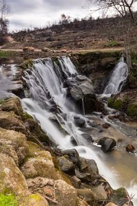 Scenic view of waterfall in forest