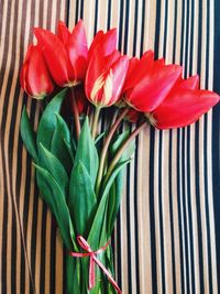 Close-up of red flowers