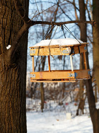 Close-up of birdhouse on tree trunk during winter