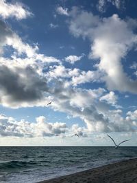 Seagull flying over sea against sky