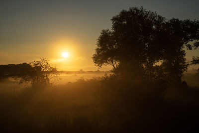 Silhouette trees against sky during sunrise