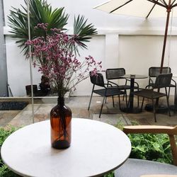 Potted plant on table at home