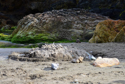 Rocks on beach