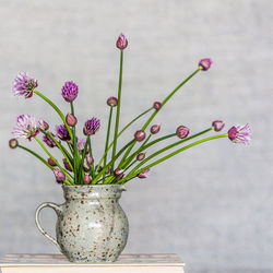 Close-up of flowers in vase