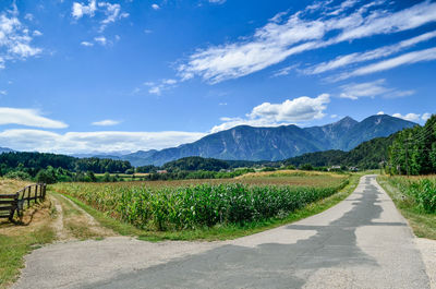 Scenic view of farm against sky