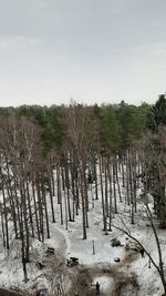 Trees on field against sky during winter