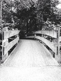 Empty road along trees