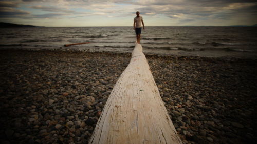 A man walking on driftwood between the ocean and the stony beach