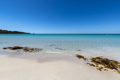 Scenic view of sea against clear blue sky