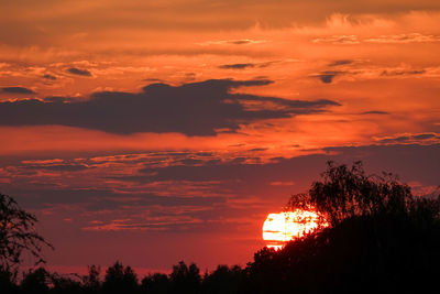 Low angle view of silhouette trees against dramatic sky