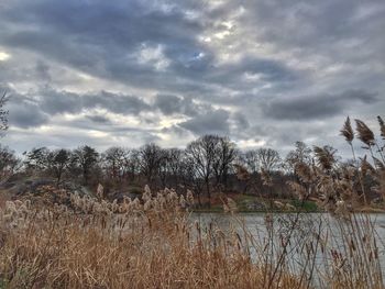 Scenic view of landscape against cloudy sky