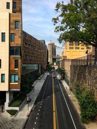 Vehicles on road by buildings in city against sky