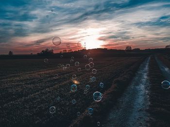 Scenic view of field against sky during sunset