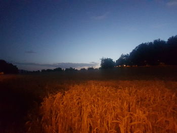 Scenic view of field against clear sky