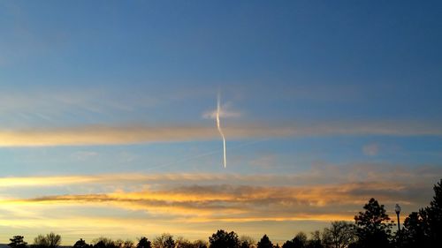 Silhouette of trees at sunset