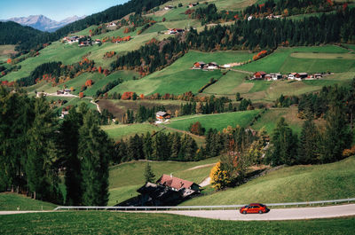 Scenic view of trees on field by mountain