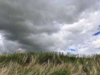 Scenic view of field against cloudy sky