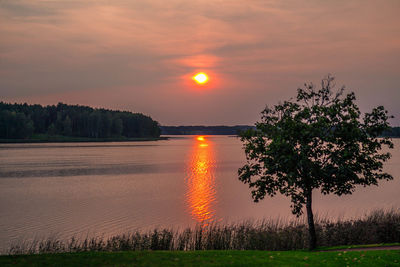 Scenic view of field against sky during sunset