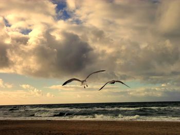 Seagulls flying over beach against cloudy sky