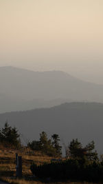 Silhouette trees on landscape against sky during foggy weather