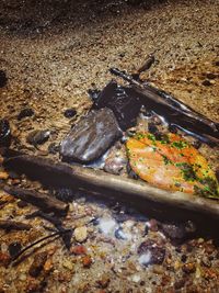 High angle view of food