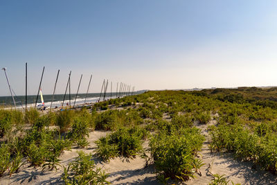 Scenic view of beach against clear sky