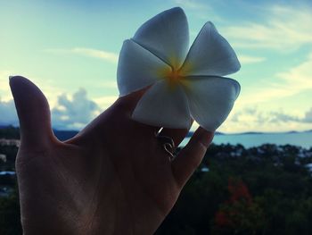 Close-up of woman holding flower