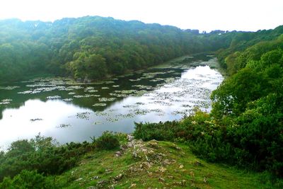 Scenic view of lake in forest against sky