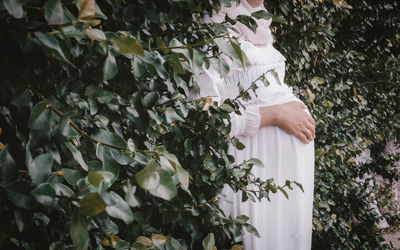 Close-up of white flowering plants