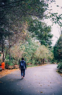 Rear view of a man walking on road