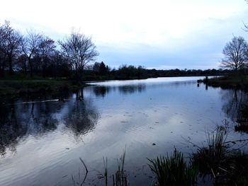 Reflection of trees in lake