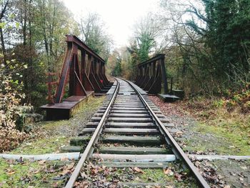 Railroad tracks amidst trees against sky