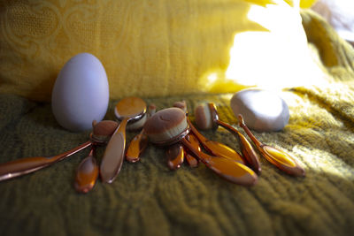 Close-up of shells on table