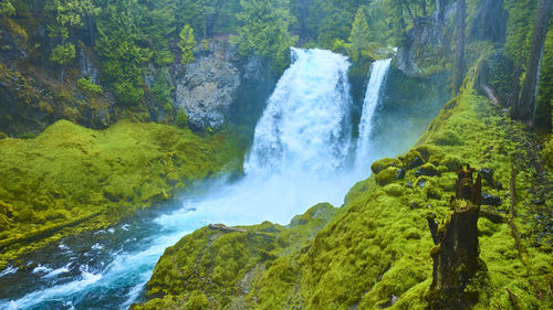 Scenic view of waterfall in forest