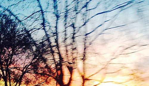 Full frame shot of trees against sky