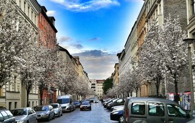 Cars parked on city street