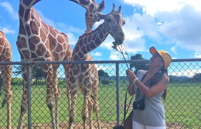Young woman standing by chainlink fence against sky