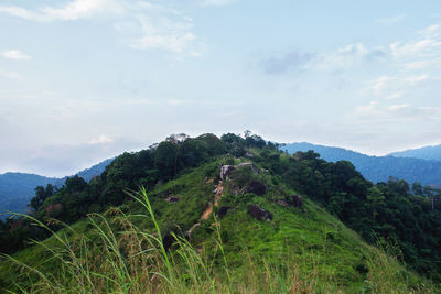 Scenic view of tree mountains against sky