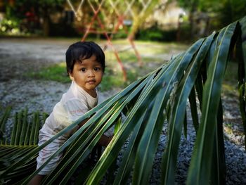 Portrait of boy against plants on land