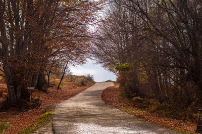 Road amidst bare trees in forest during autumn