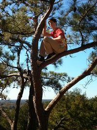 Low angle view of trees against sky
