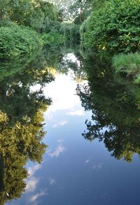 Reflection of trees in lake against sky