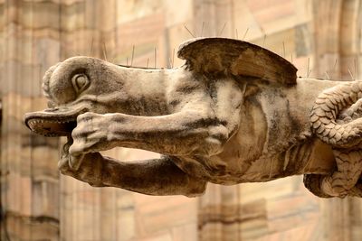 Close-up of gargoyle at duomo di milano