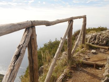 Driftwood on tree trunk against sky
