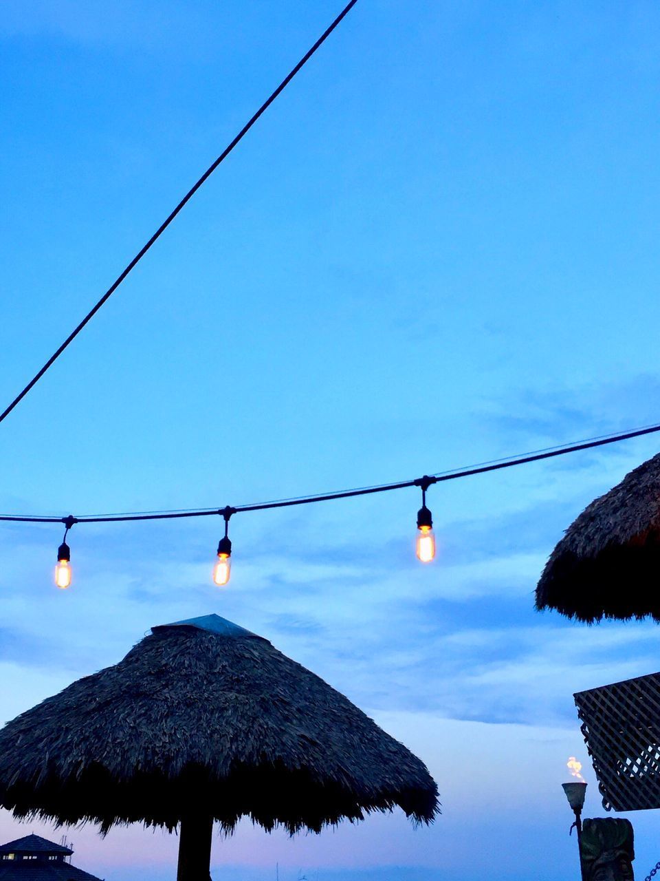 LOW ANGLE VIEW OF LIGHT BULBS AGAINST SKY